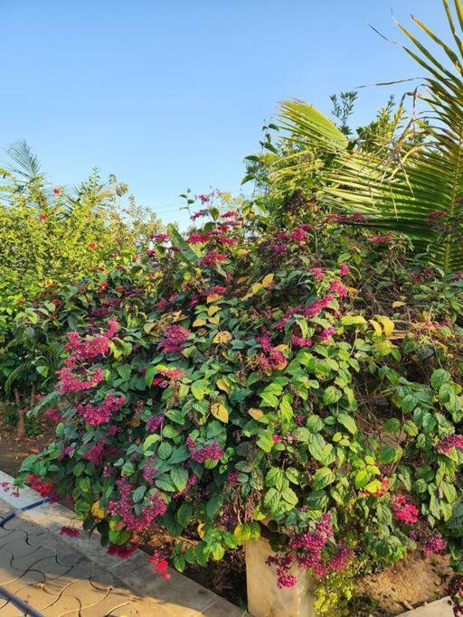 Farmhouse Close To Nature - Kesari Farm Gandhinagar Ngoại thất bức ảnh
